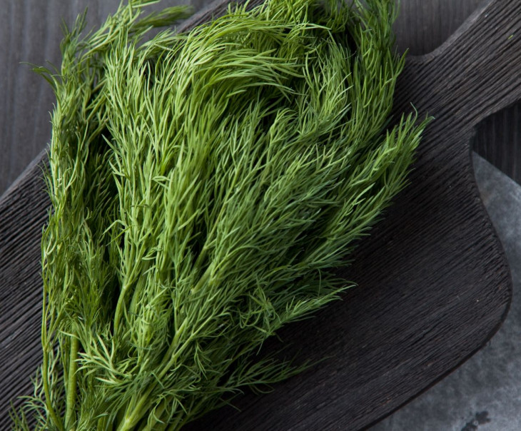 8534 Укроп 30г Вкусляндия  - Вид №1