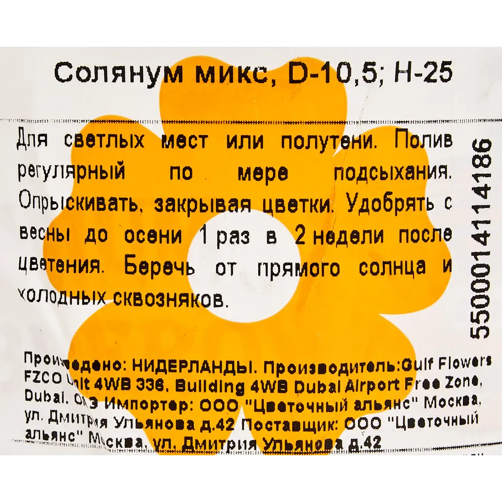Солянум микс 10.5x25 см 82877367 STLM-2205983 Santreyd  - Вид №2