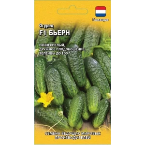 Семена Огурец Бьерн F1