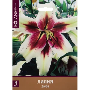 Лилия Зиба 12/14, 1 шт 82539378 STLM-2042964