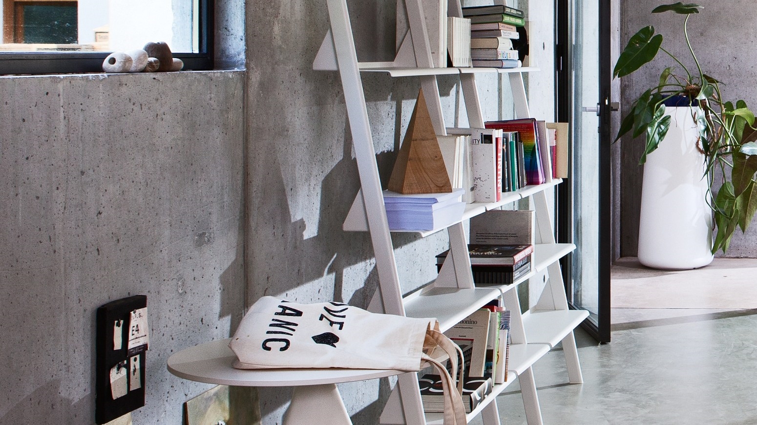 Тайк - Дикая группа Magis sun-id-1328971 - Вид №8