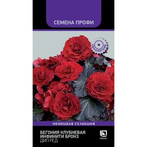 Семена цветов Поиск бегония клубневая Инфинити Бронз Дип ред 89401244 STLM-2152856