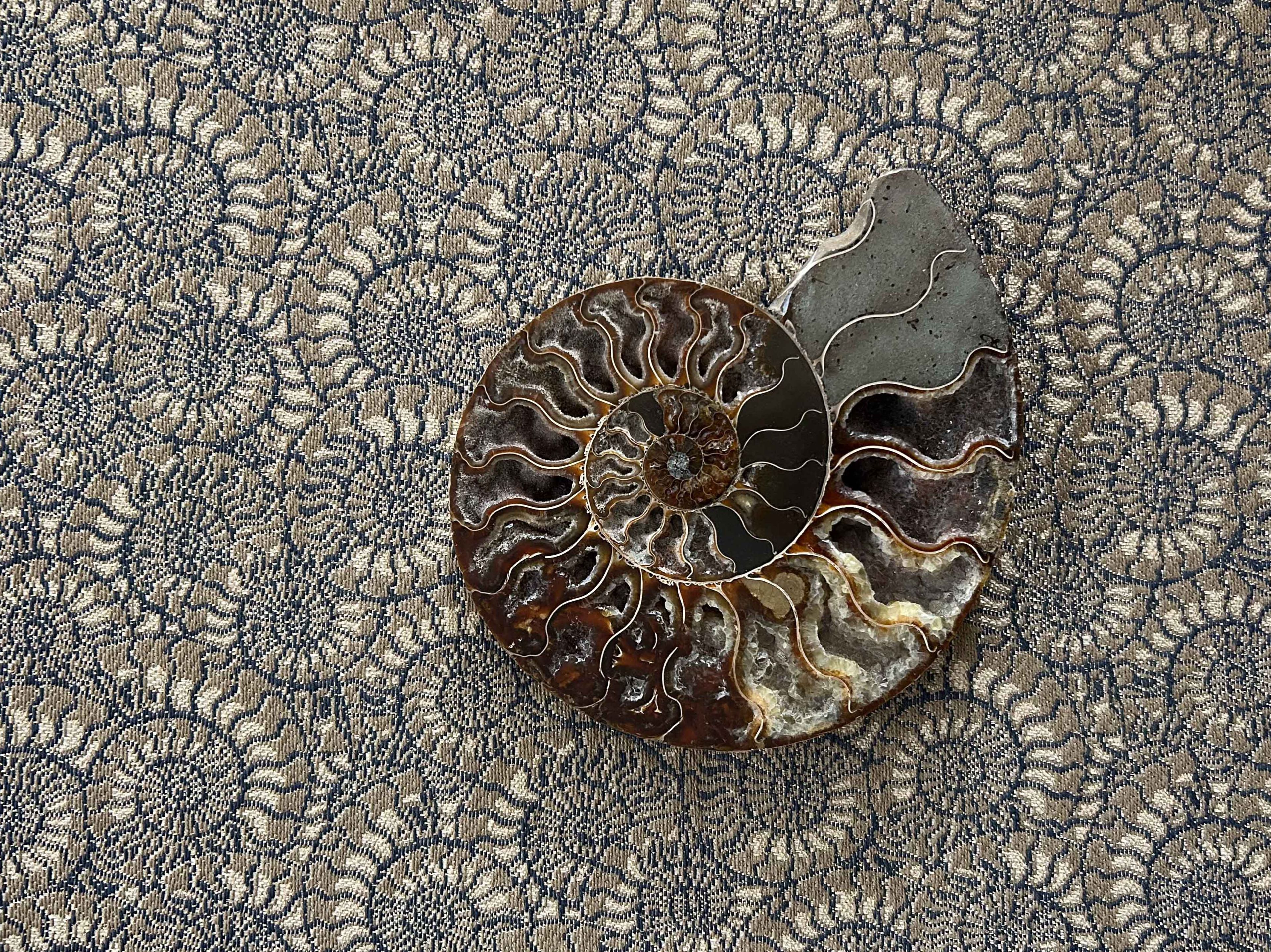 Хлопчатобумажная и полиамидная Жаккардовая ткань LELIEVRE Métamorphose ARCH-00122717 - Вид №5