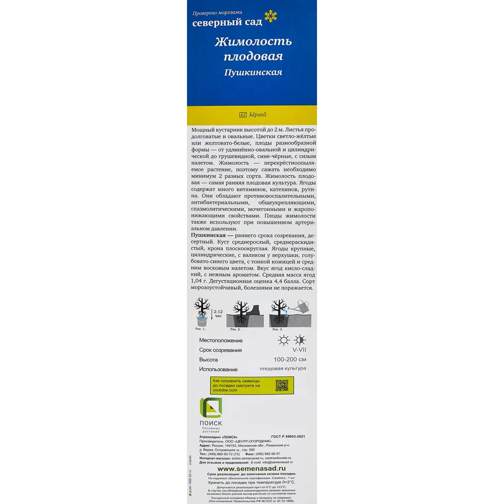 Жимолость съедобная Пушкинская h40 см 86543994 STLM-2107931 Santreyd  - Вид №2