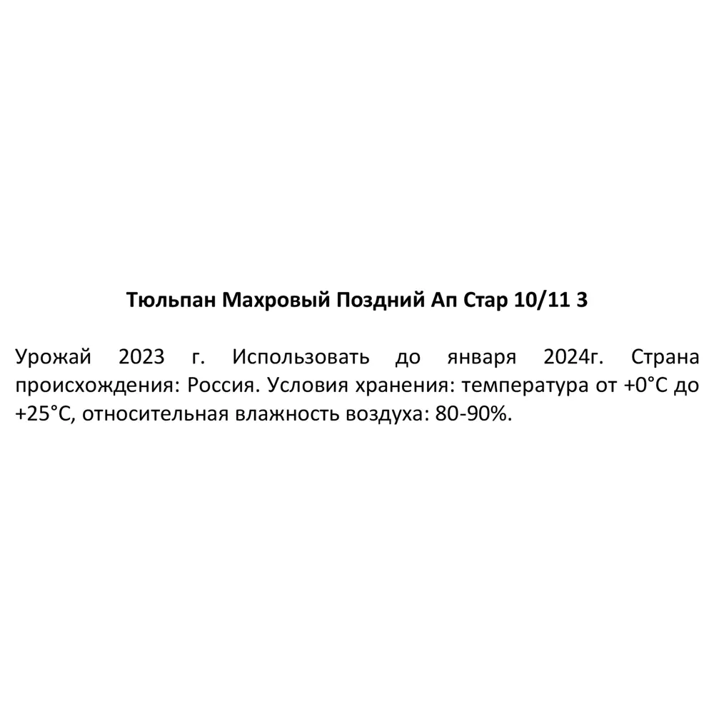 Тюльпан махровый поздний Ап Стар, 3 шт. 88757523 STLM-2154628 Santreyd  - Вид №2