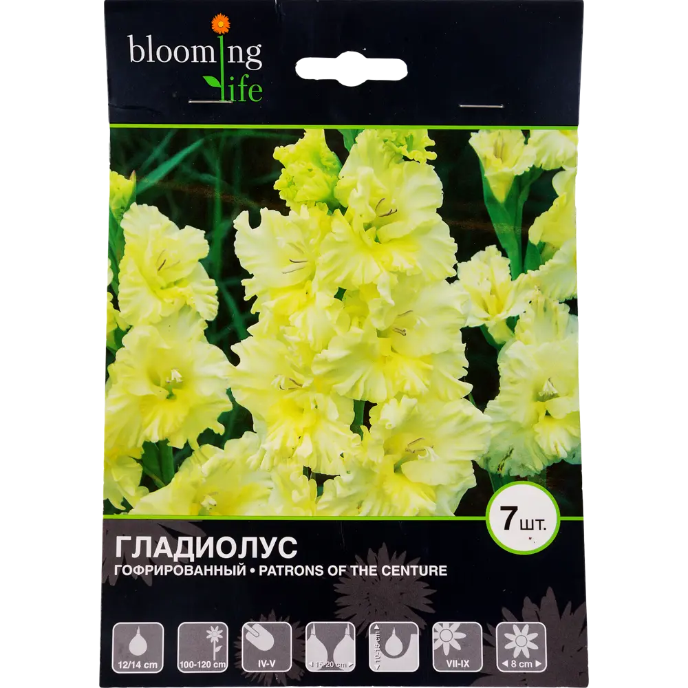 Гладиолус гофрированный «Патронс оф зе Центури» 81945928 STLM-2069993 Santreyd 