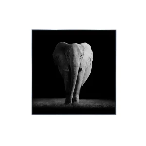91336281 Картина в раме Alumoart "Elephant" 76x76 см, крепление через профиль STLM-0831876