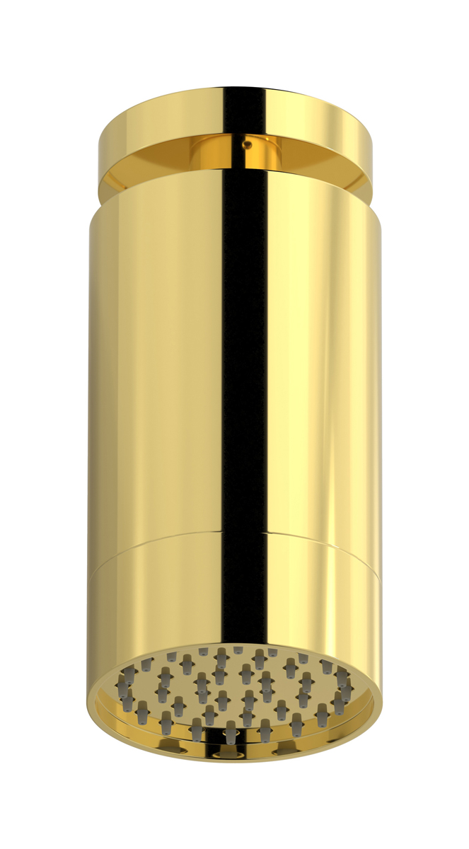 Верхний душ с Потолочный кронштейн WE ARE IB vn085sr_2 Gold Spot