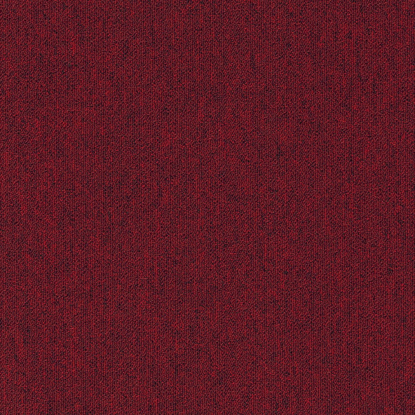 Нейлон®сплошной цвет ковер MODULYSS ALPHA ARCH-00083825 - Вид №4