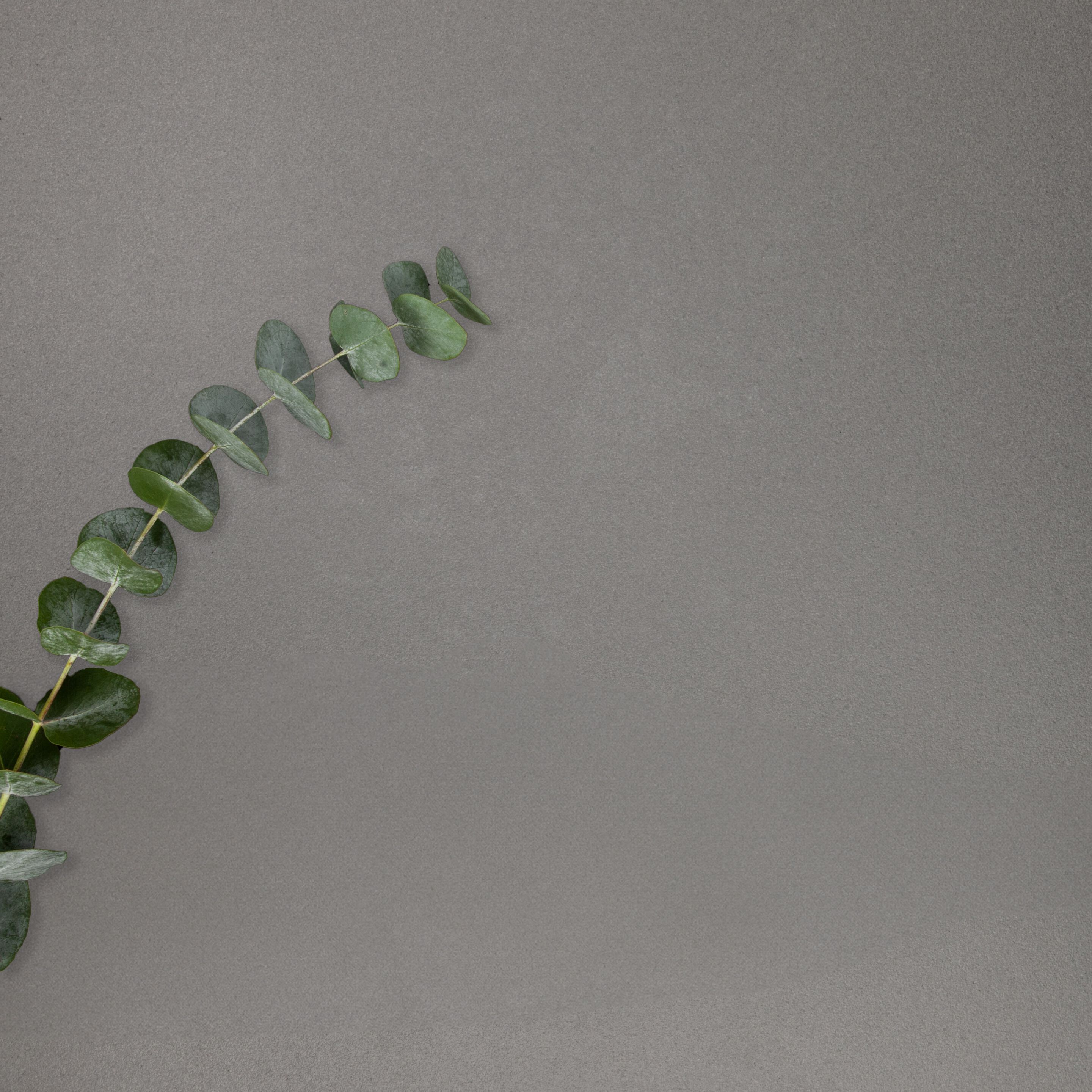 Напольное покрытие Lapitec® Musa ARCH-00048845 - Вид №8