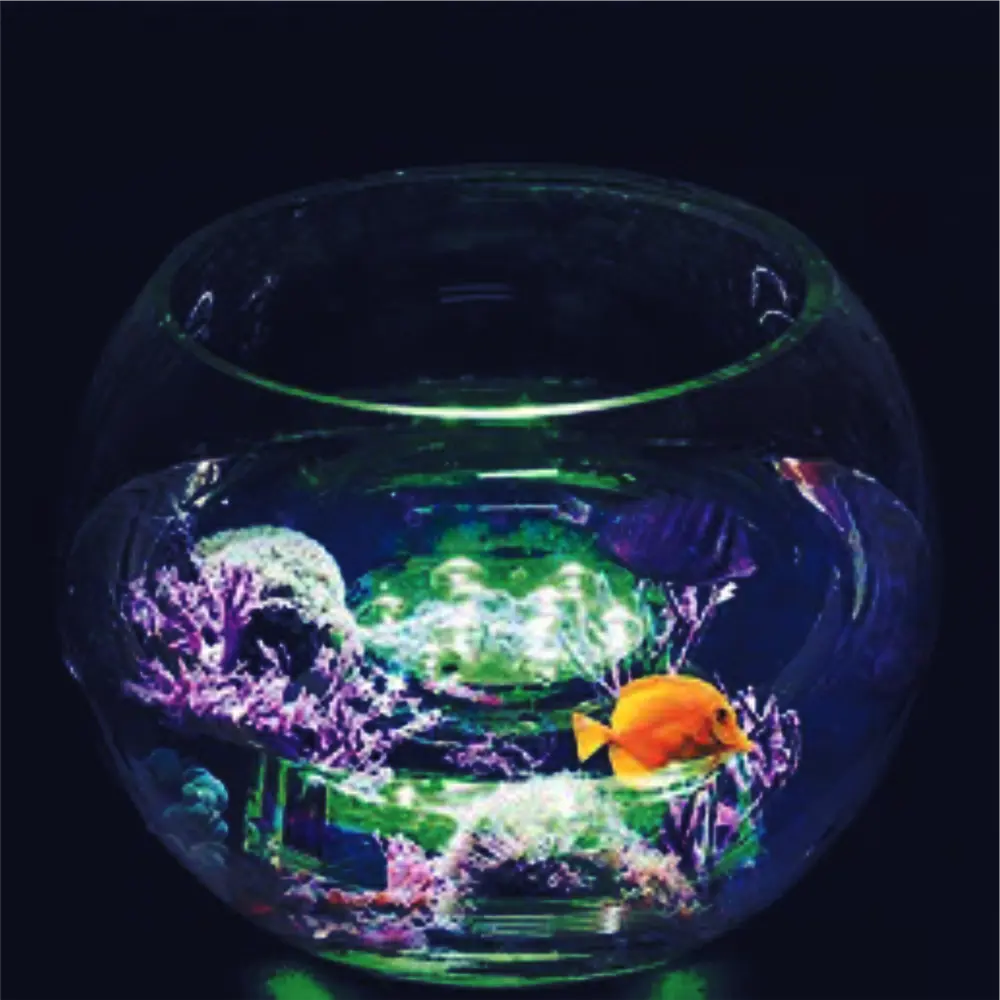 Светильник светодиодный для водоемов  70×28 мм Santreyd STLM-2180402 - Вид №2