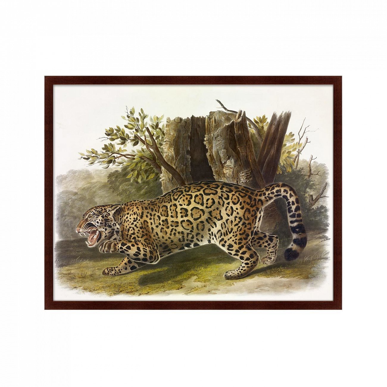 Картина: Jaguar, 1841г. КАРТИНЫ В КВАРТИРУ  264198 Разноцветный  - Вид №1