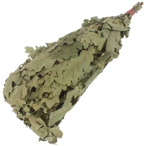 Веник дубовый Proffi Sauna цвет зеленый