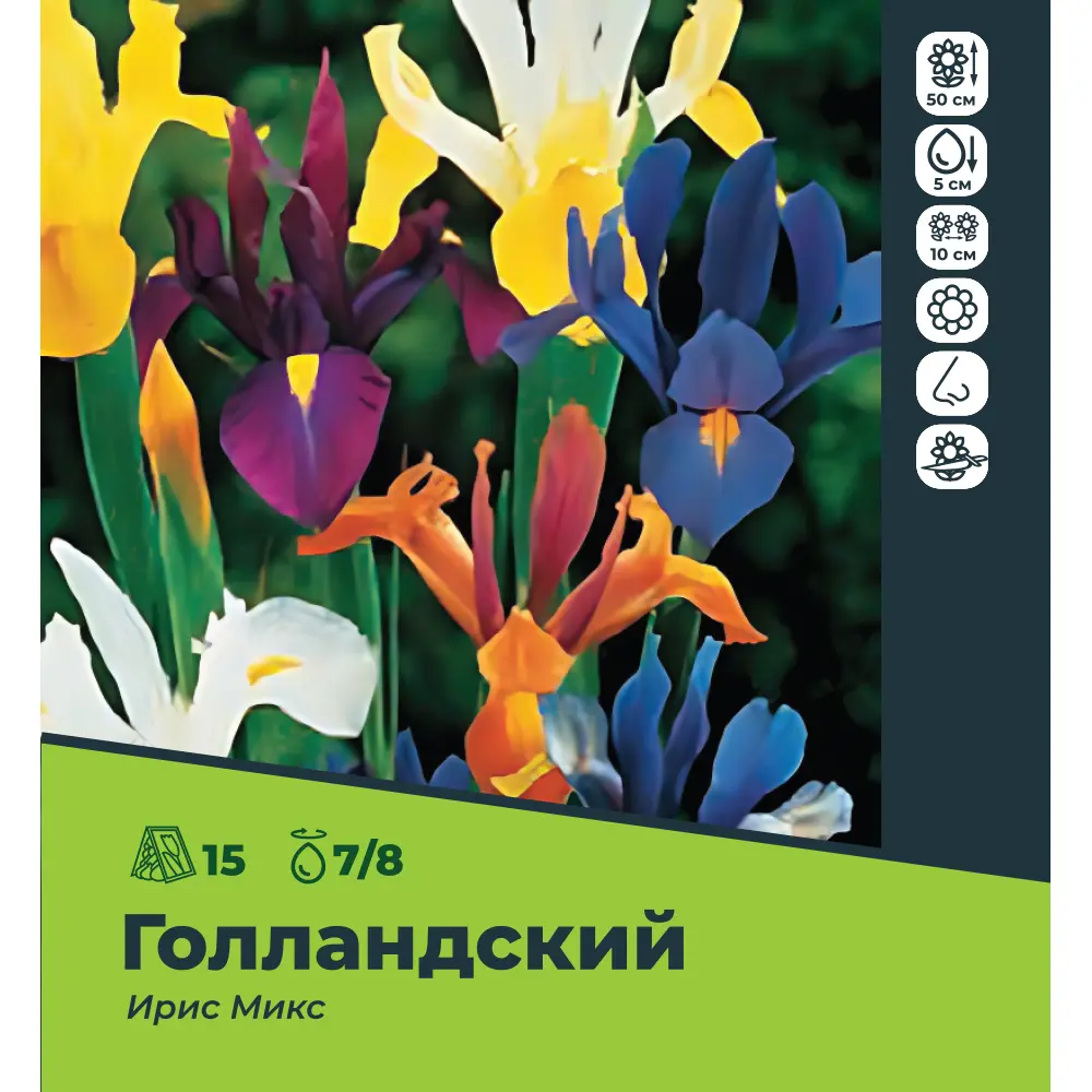Ирис голландский микс луковицы 7/8, 15 шт. 89049672 STLM-2014282 Santreyd 