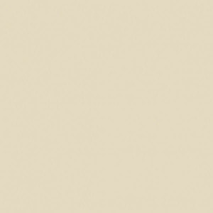 Сани стул с подлокотниками