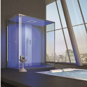 Ограждение для душа и турецкой бани Gemini 6 100х110 см 1GNT8S0