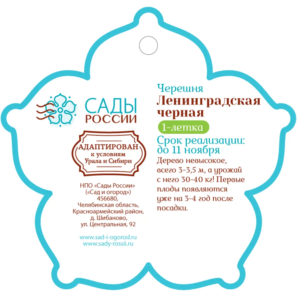 Черешня «Ленинградская чёрная» 1 год 12.5x30-50 см 82610478 STLM-2082152 Santreyd  - Вид №1