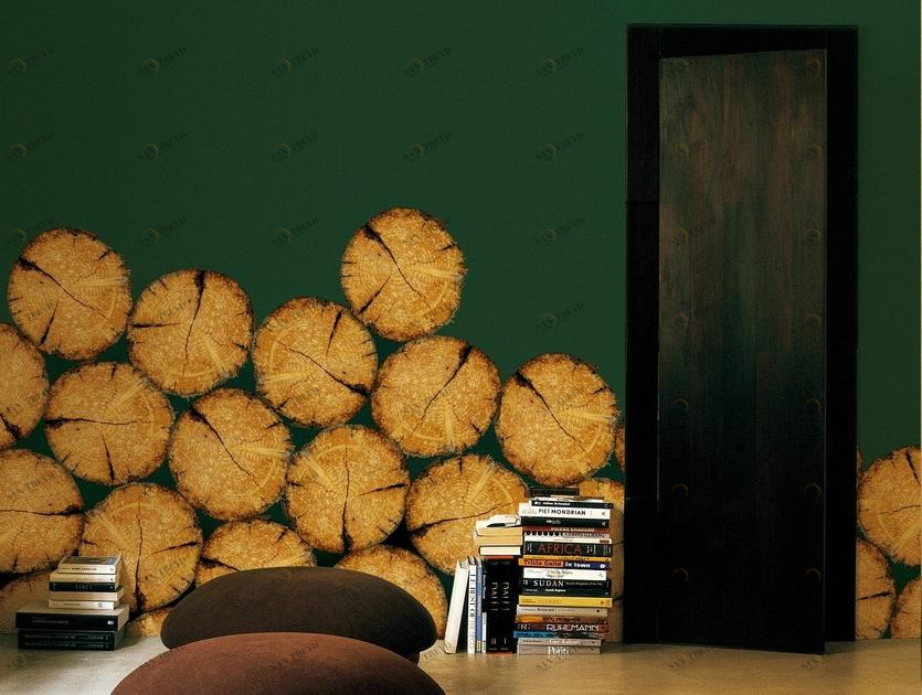 Wall&decò Обои под дерево Contemporary wallpaper 2010 sun-id-1433483