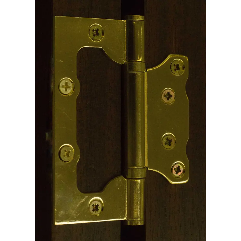 Петля без врезки Punto 200-2B/HD 100x2.5 мм цвет матовое золото Santreyd STLM-2057462 - Вид №2