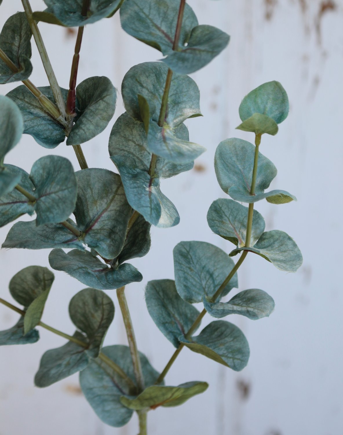 5561 883 a3 Искусственный эвкалиптовый спрей, 74 см, зеленый H-andreas  - Вид №3