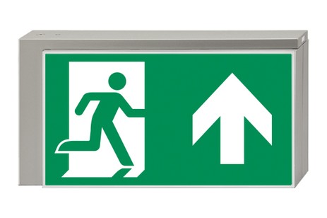 DST-885 Lisu pennant Daisalux Светильники аварийные Серебристо-Серый 