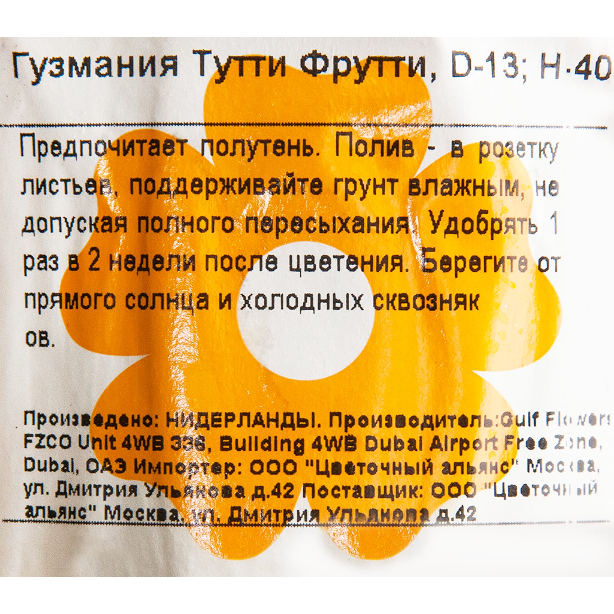 82548582 Гузмания Тутти Фрутти 13х40 см Santreyd  - Вид №2