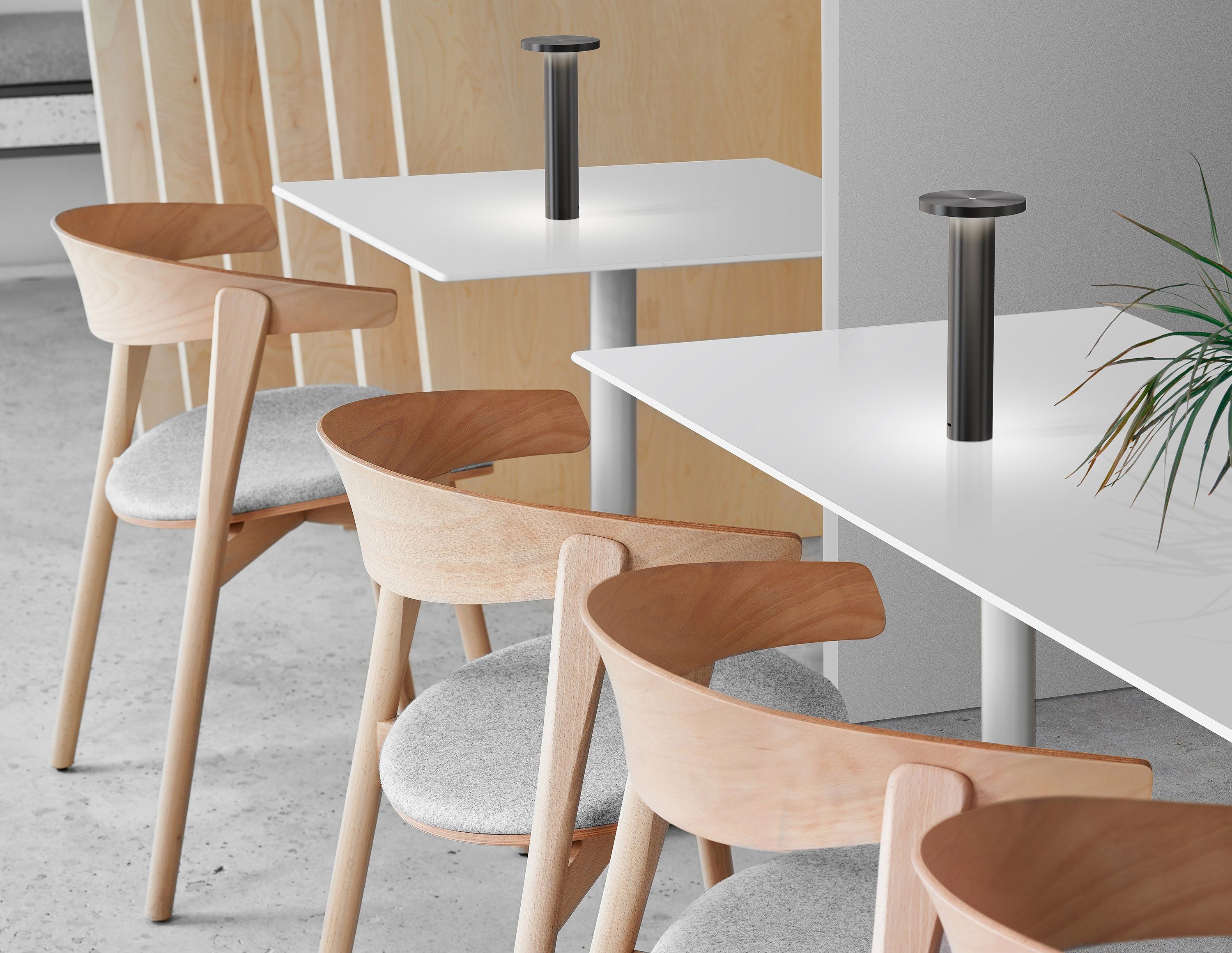 Алюминиевая светодиодная настольная лампа с батарейным питанием Pablo Designs светильники ARCH-00100760 - Вид №1