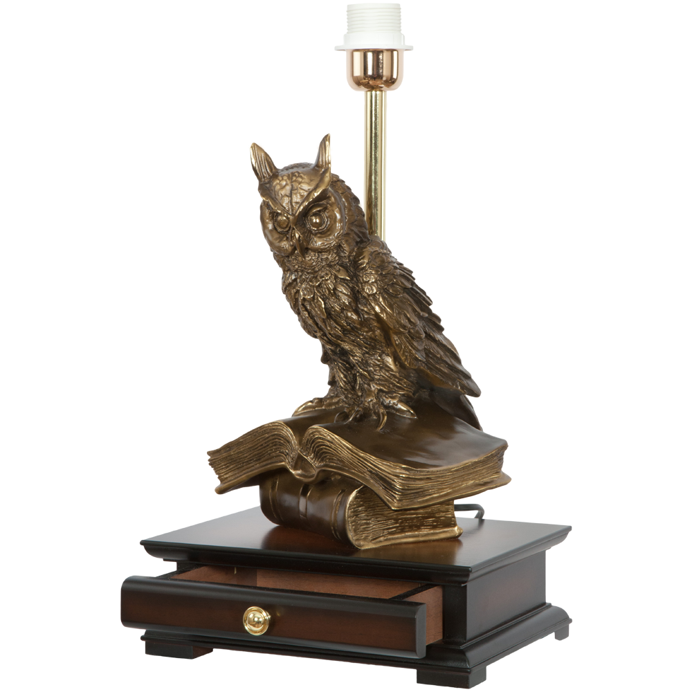 33006/1,34057 Настольная лампа с бюро Ученый Филин Тюссо Игуана Шоколад BOGACHO 4627138211540, 4627138151105 - Вид №6
