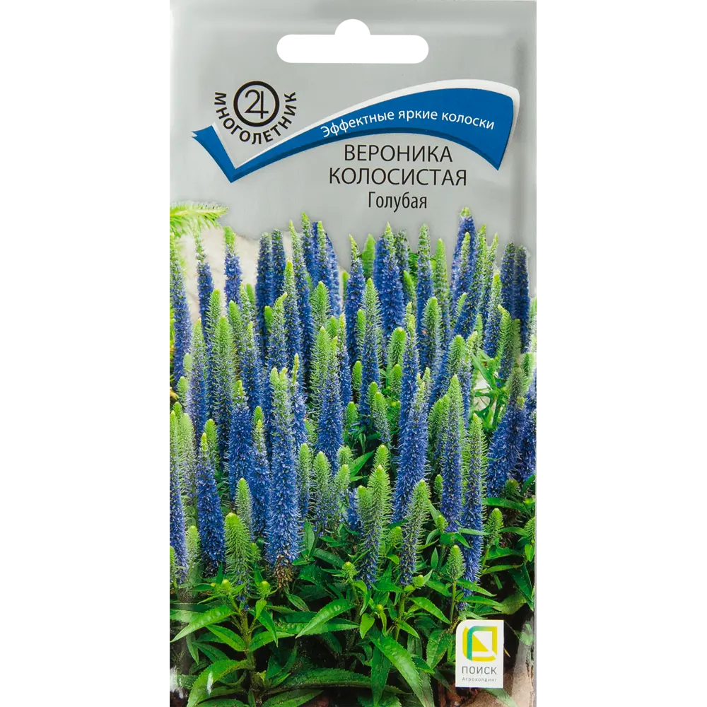 Вероника колосистая Голубая от ПОИСК - семена для солнечного сада 83577560 STLM-1567113