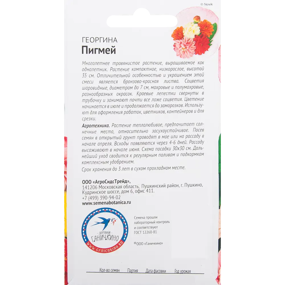 Георгина «Пигмей» смесь окрасок 0.1 г 82481606 STLM-2083067 СЕМЕНА ОТ ОКТЯБРИНЫ ГАНИЧКИНОЙ  - Вид №1