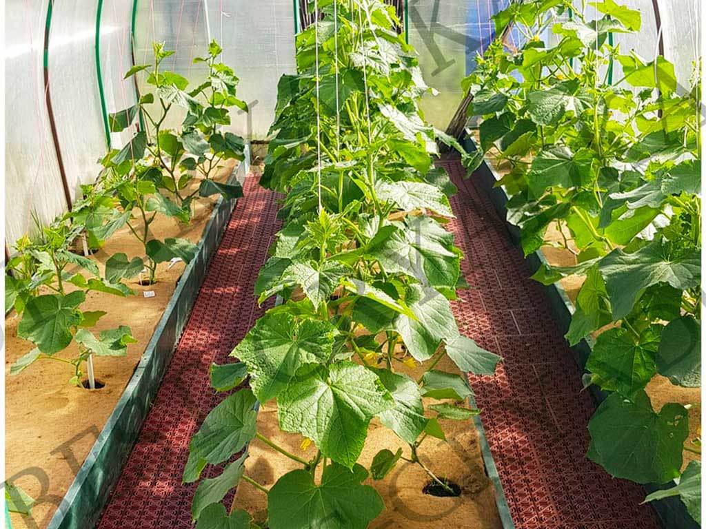 Мульча кокосовая Мульчаграм 1x5 м ГеоПластБорд GPBST-240 - Вид №6