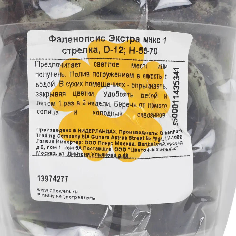 Santreyd Орхидея Фаленопсис Экстра - изысканное украшение интерьера 13974277 STLM-0004094 - Вид №6