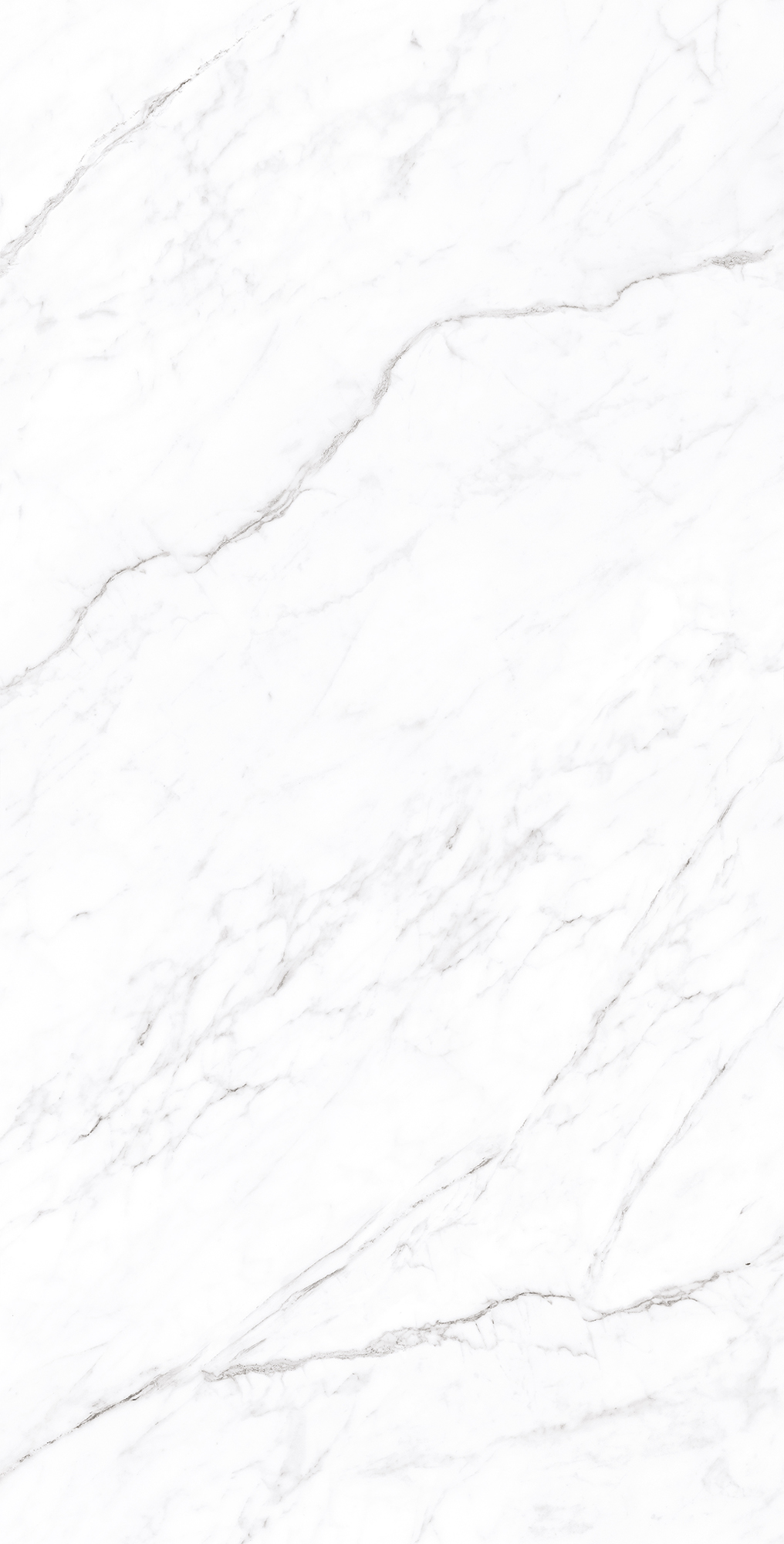 Керамогранит CORALINA WHITE 60х120 Creanza CP4003-A - Вид №2