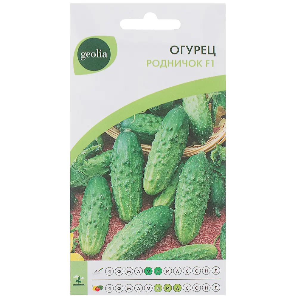 Семена огурца Geolia «Родничок» F1 - высокоурожайный сорт для засолки 17584840 STLM-1478965