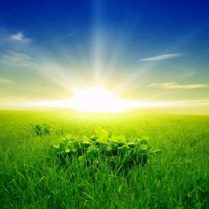 WP00377 Фотообои Verol Фотообои decoline 1х1 м