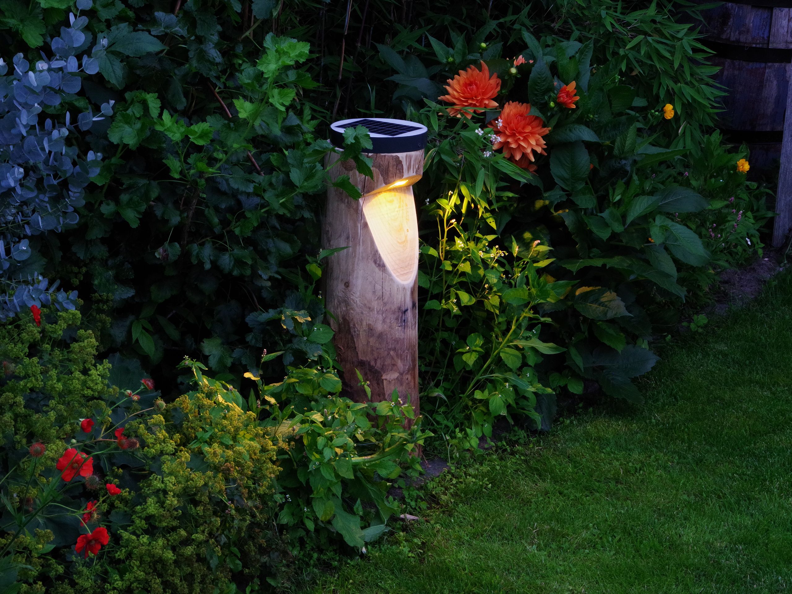 Светло-каштановый столб на солнечной энергии Timberlab BOSCO SOLAR ARCH-00141907 - Вид №2