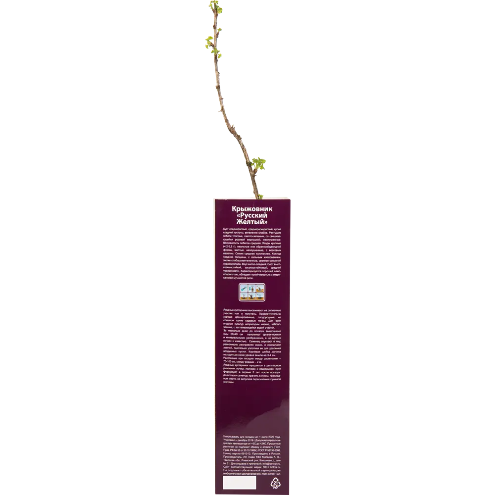Крыжовник Русский жёлтый в тубе 82539567 STLM-2089437 BOTANIC COLLECTION  - Вид №2