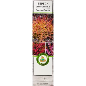 Вереск Виквар Флейм ø9 h39 см 83738715 STLM-2129584