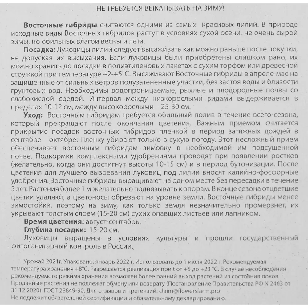 Лилия Восточная Махровая Наталия 16/18 14375073 STLM-2191307 Santreyd  - Вид №3