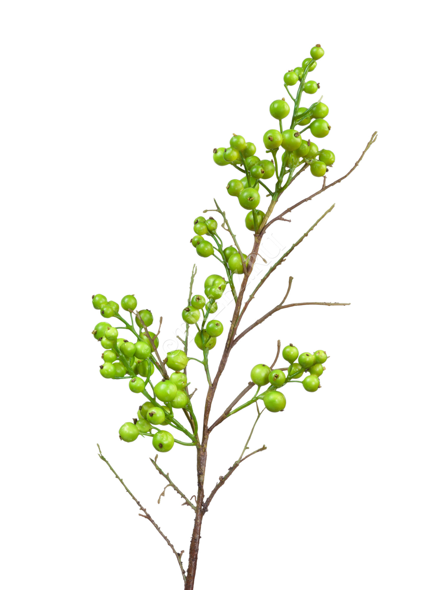 30.0312020GR Ветка с крупными зелёными ягодами Цветочная коллекция 