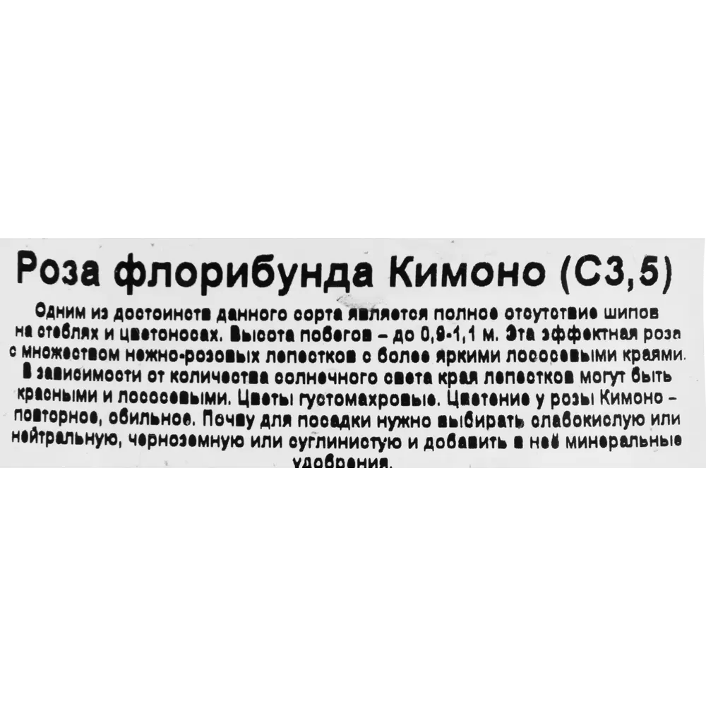 Роза флорибунда «Кимоно», 3.5 л 18475004 STLM-2185205 Santreyd  - Вид №2
