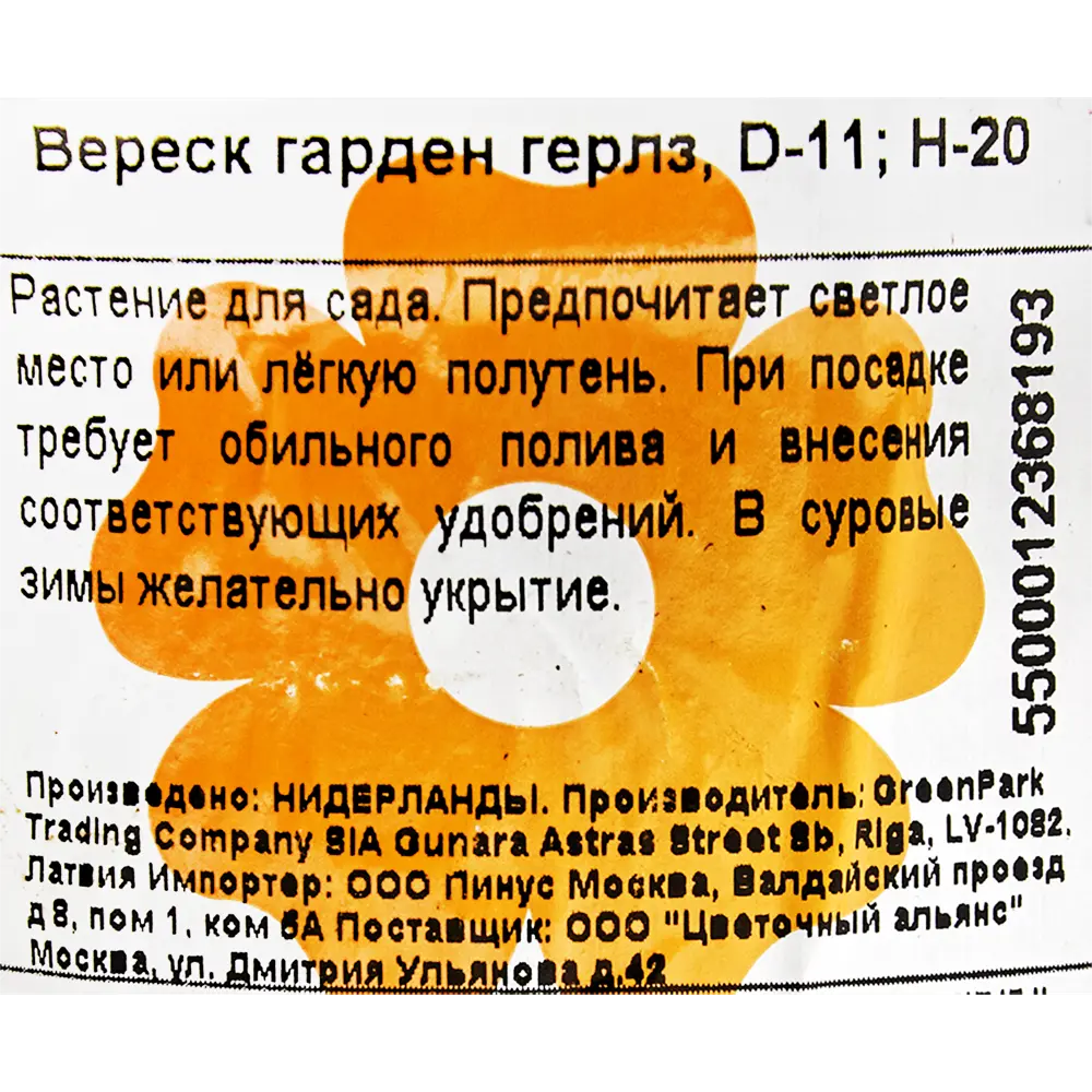 Вереск «Гарден Герлз» Ø11 см h20 см 82345355 STLM-2057360 Santreyd  - Вид №1