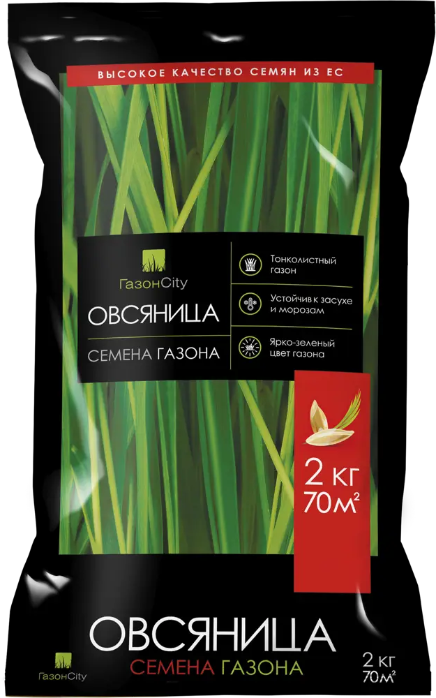 ГАЗОНCITY Овсяница — семена для изумрудного газона 2 кг 82839165