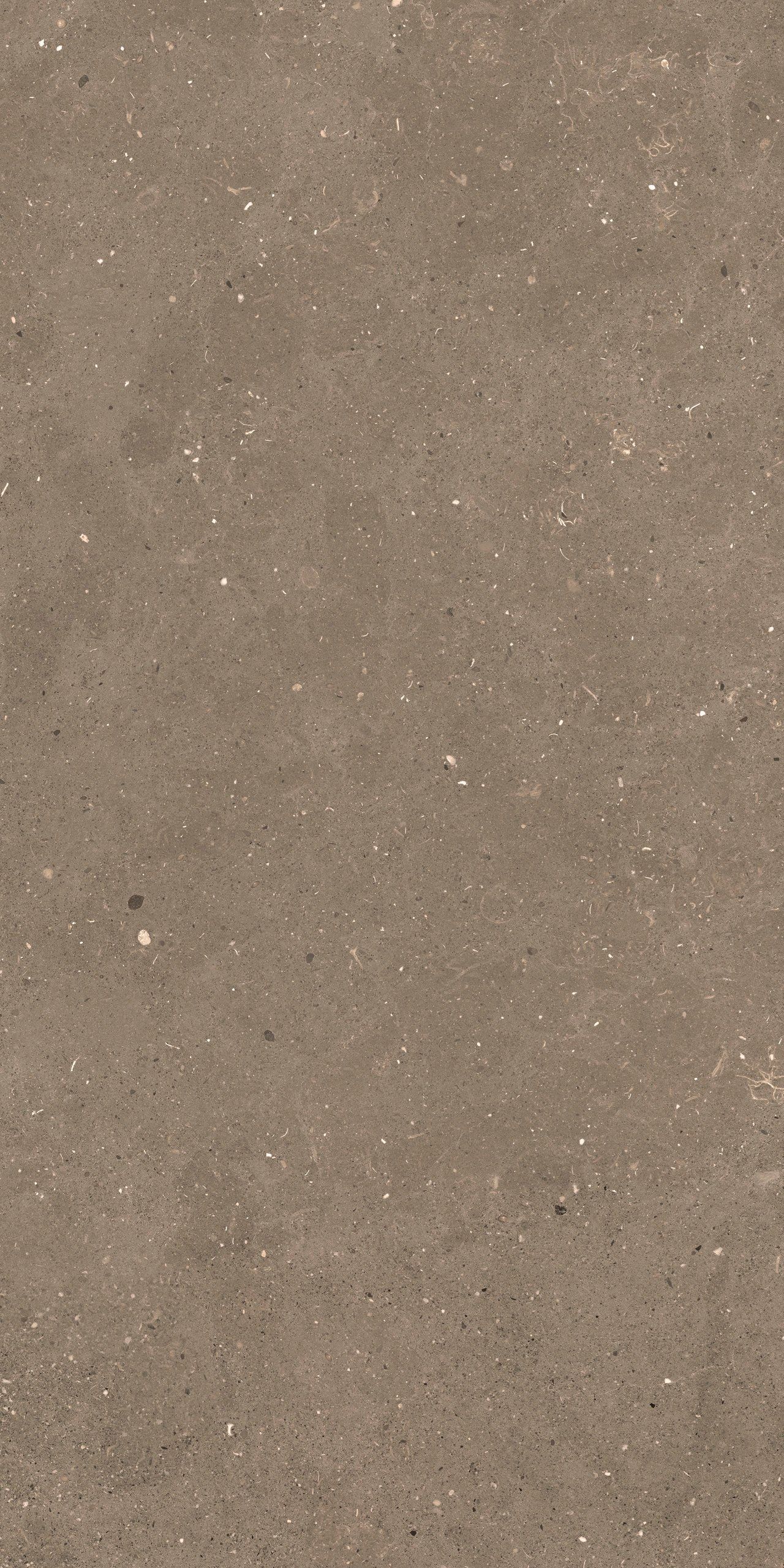 Пол / облицовка керамогранита с эффектом камня Fiandre сплошная ARCH-00006905 - Вид №3