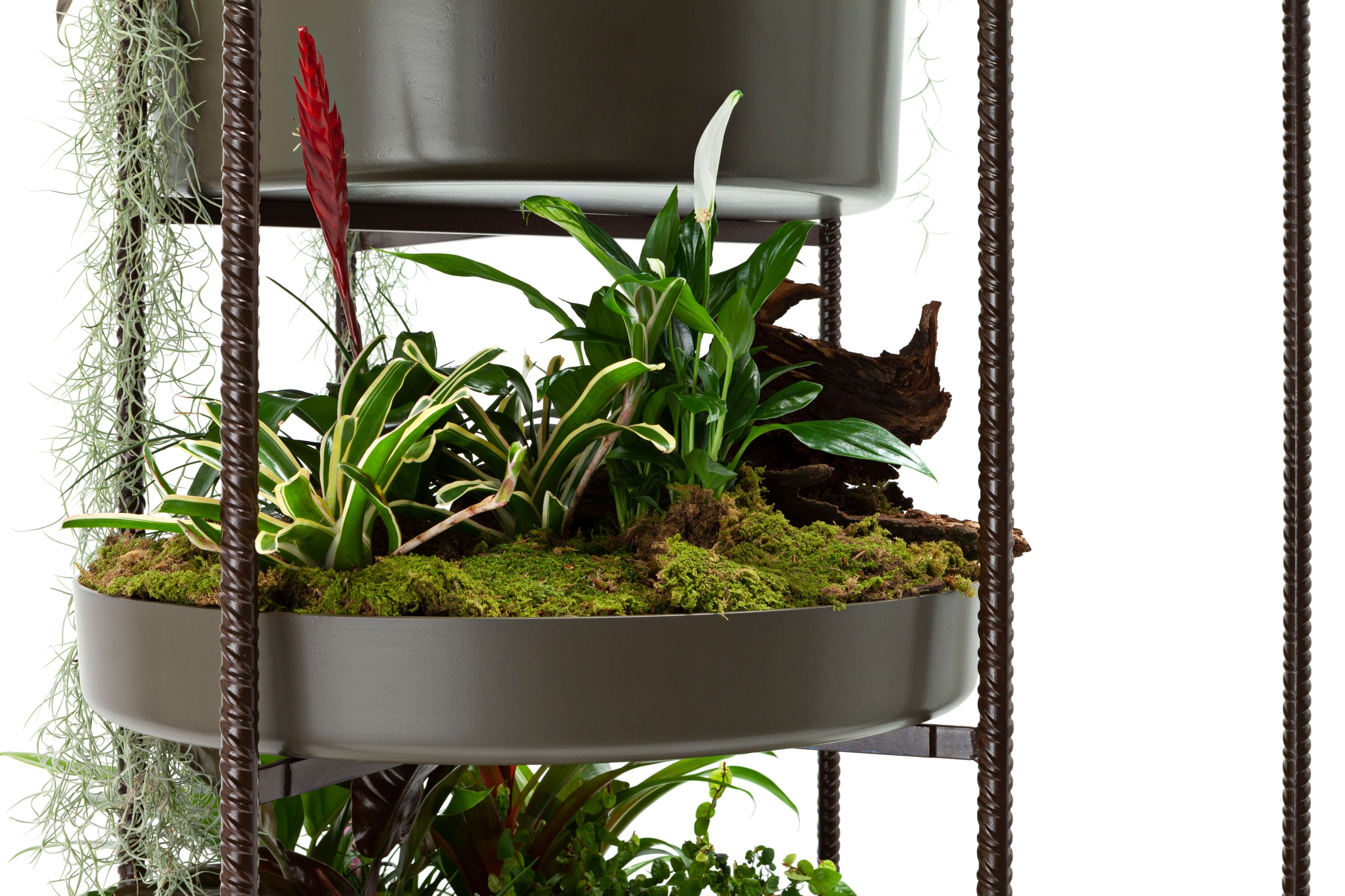 Нержавеющая сталь высокий горшок держатель Exteta 10th ARCH-00092532 - Вид №6