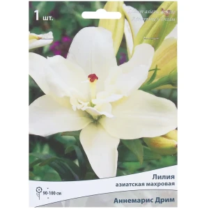 Лилия азиатская махровая «Аннемарис дрим» 81945446 STLM-2066558