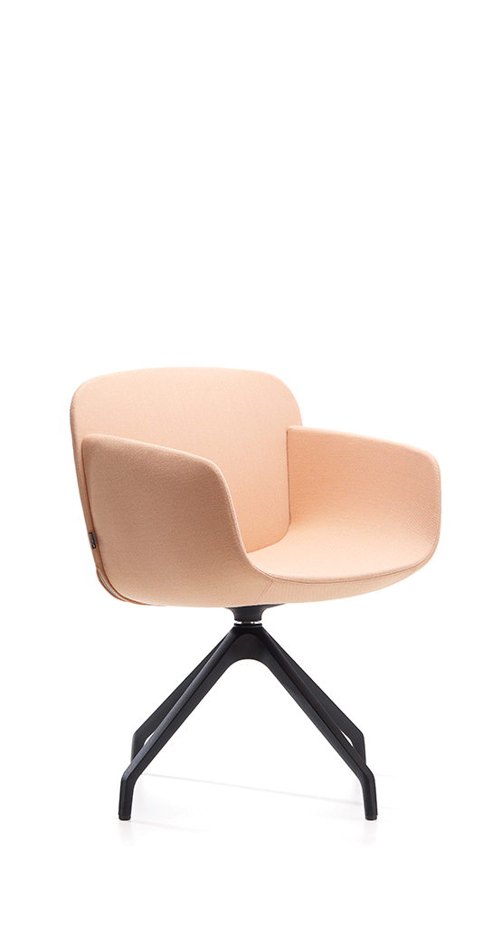 VI2GN Стул для гостей Viva Vaghi  - Вид №1