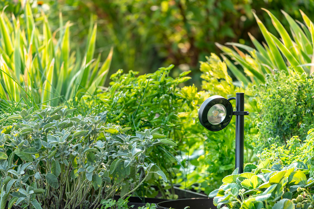 8800168 Проектор Platek FROG  FROG - 1 COB 4000K 102° - Вид №2