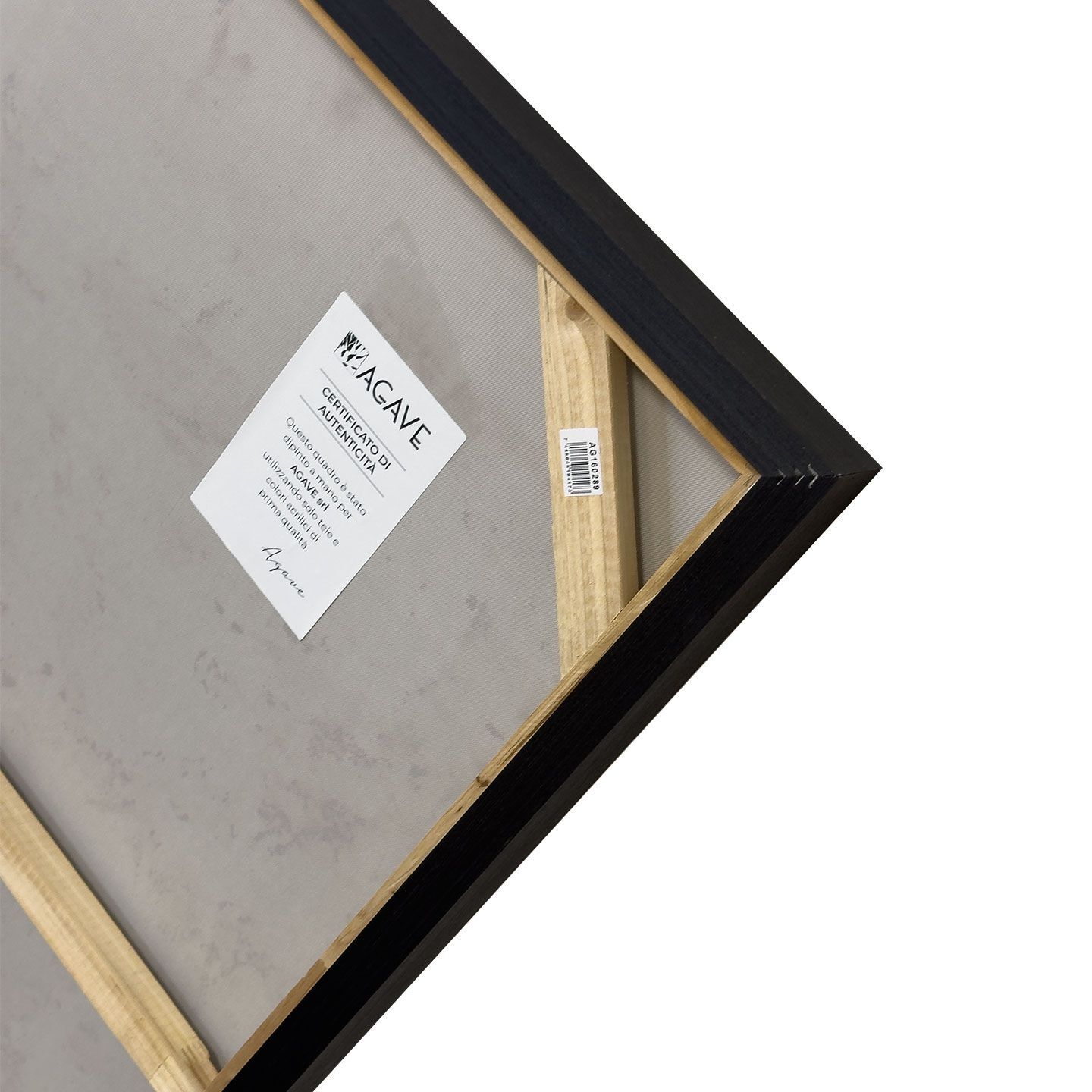 Холст рамки Agave BLEND ARCH-00136887 - Вид №4
