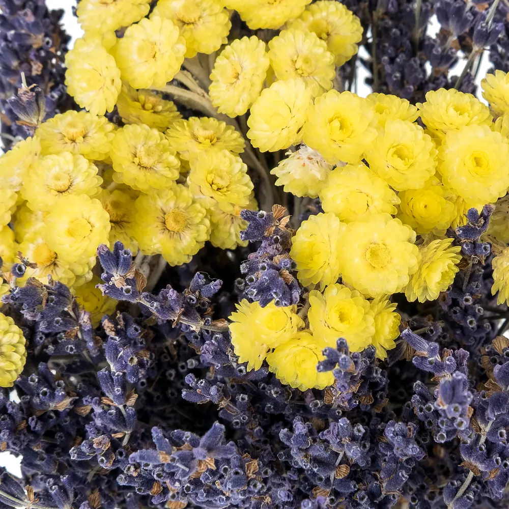 Букет из сухоцветов с лавандой Santreyd STLM-2067615 - Вид №1